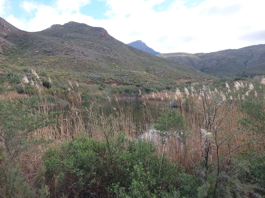 7 Bedroom Property for Sale in Ladismith Rural Western Cape